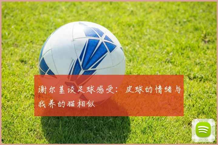 谢尔基谈足球感受：皮球的情绪与我养的猫相似