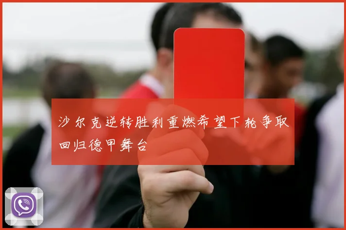 沙尔克逆转胜利重燃希望下轮争取回归德甲舞台